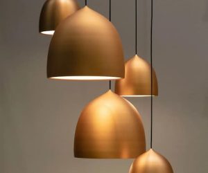 expertise-NanoXplore